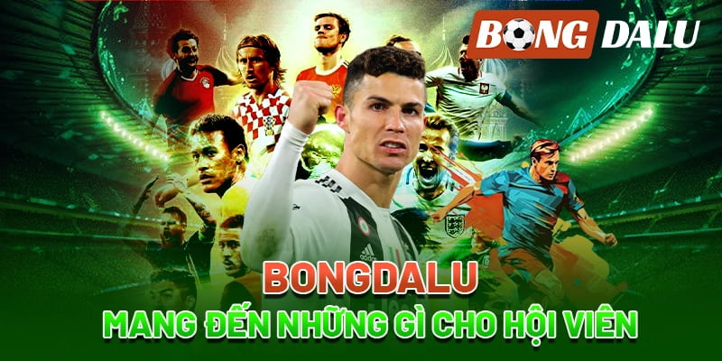 Bongdalu Bí quyết sử dụng thông tin từ bongdalu để tối ưu hiệu quả cá cược
