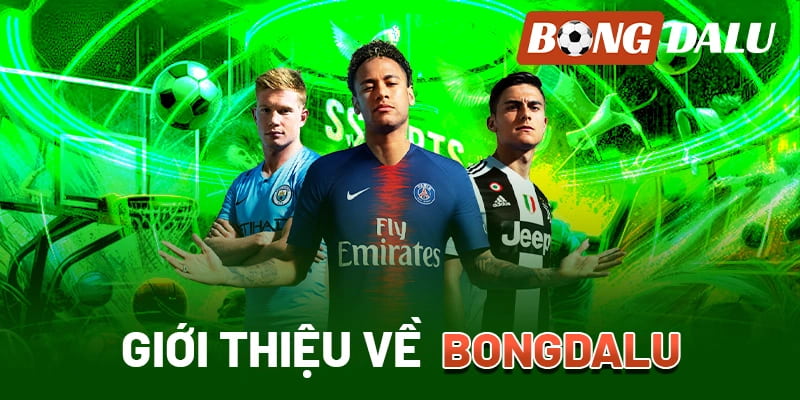Cách bongdalu phân tích kèo nhà cái chi tiết và chính xác