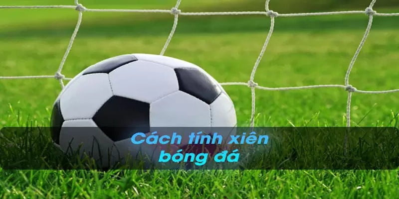 Cược xiên là gì Chiến lược chơi cược xiên hiệu quả