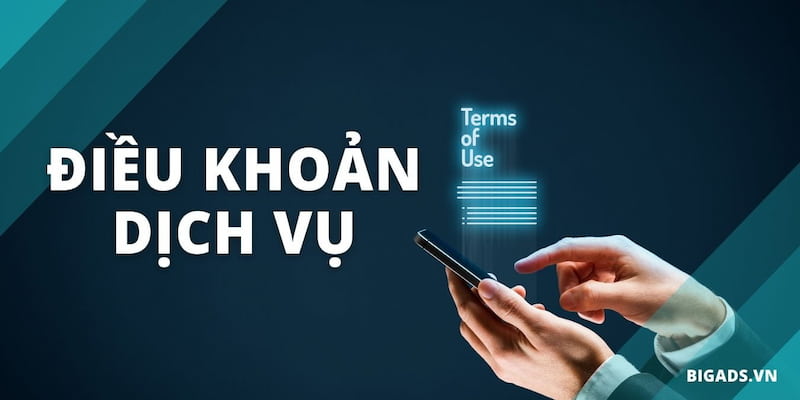 Những mục cần đặc biệt lưu ý trong điều khoản dịch vụ