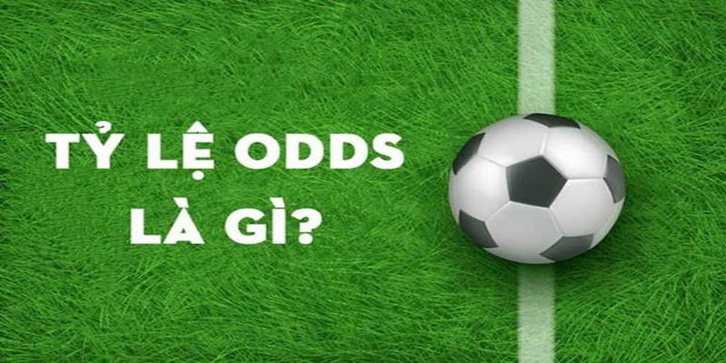 Phân loại odds phổ biến trong cá cược bóng đá