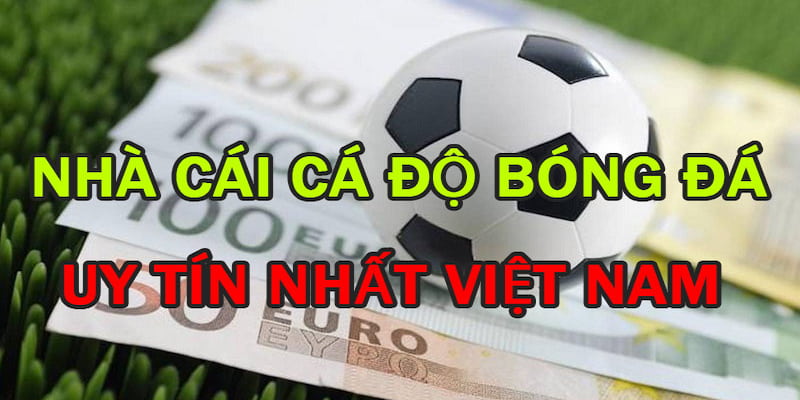 Thuật ngữ cơ bản cần biết khi đọc giới thiệu trang kèo nhà cái