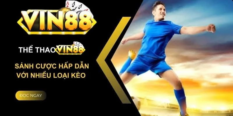 Tổng quan về Vin88 – điểm đến cá cược đa dạng và uy tín