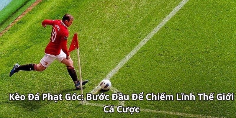 kèo phạt góc Tổng quan về kèo phạt góc trong hệ thống kèo nhà cái