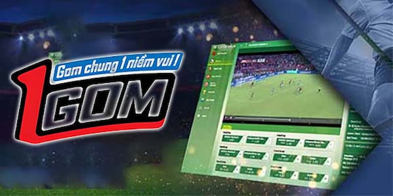 Vai trò của 1gom trong hệ sinh thái kèo nhà cái hiện đại