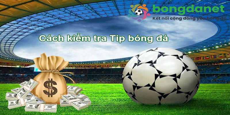 Vì sao bongdanet trở thành nguồn tham khảo phổ biến?